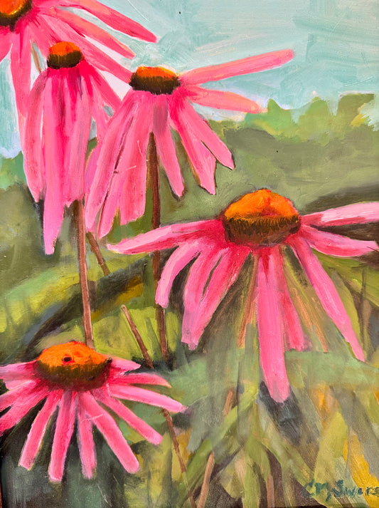Echinacea